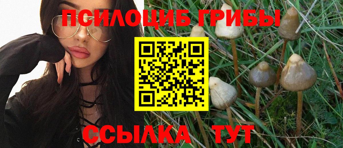 Канабис  ГАШИШ  КОКАИН  Краснознаменск  Вейп ТГК  Вход с VPN  Мефедрон кристаллы  МДМА  Бошки Шишки 