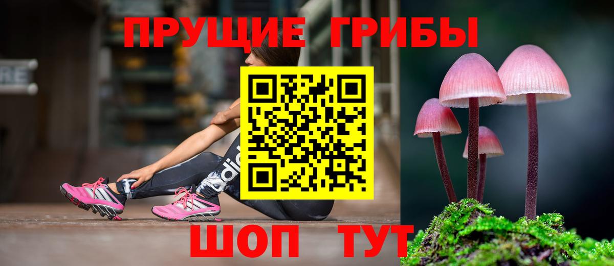 Краснознаменск  Галлюциногенные грибы Magic Shrooms  Вход с VPN  Псилоцибиновые грибы Psilocybine cubensis 